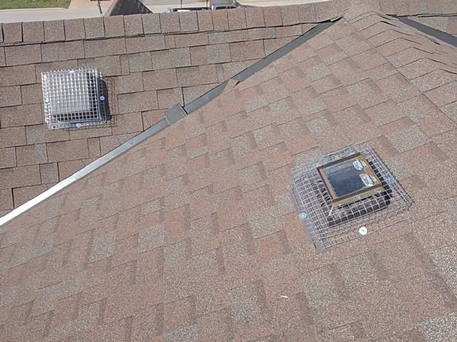 Roof Protection by Wildlife Removal Services - Raccoon Removal Services Mississauga