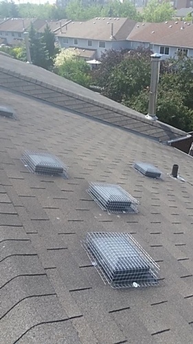 Rooftop Protection by Wildlife Removal Services - Raccoon Control Brampton