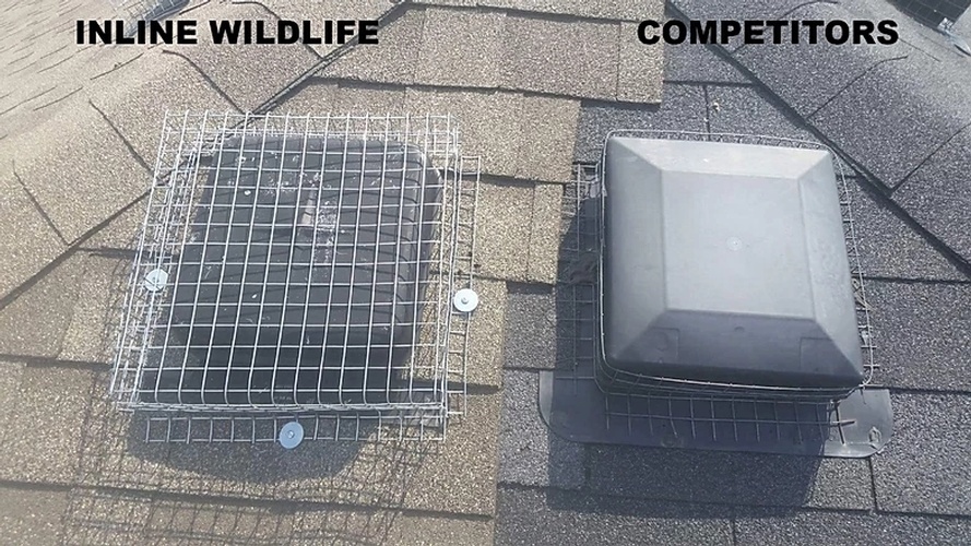 Inline Wildlife vs Competitors by Wildlife Removal Services - Raccoon Removal Services Mississauga