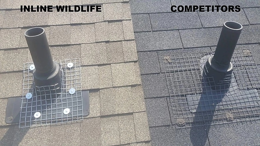 Inline Wildlife vs Competitors Chimney Protection by Wildlife Removal Services - Raccoon Removal Services Mississauga