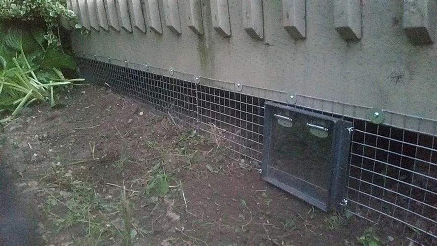 Prevention of Raccoon Entering the Premises by Wildlife Damage Protection Services - Raccoon Removal Services Mississauga