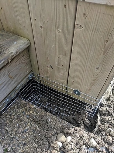 Preventing Entry Points to Avoid Raccoons by Wildlife Damage Protection Services - Raccoon Removal Services Markham