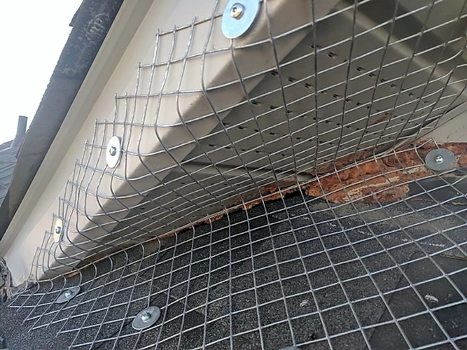 Thick Wired Mesh - Bird Removal Services Toronto by Wildlife Damage Protection Services 