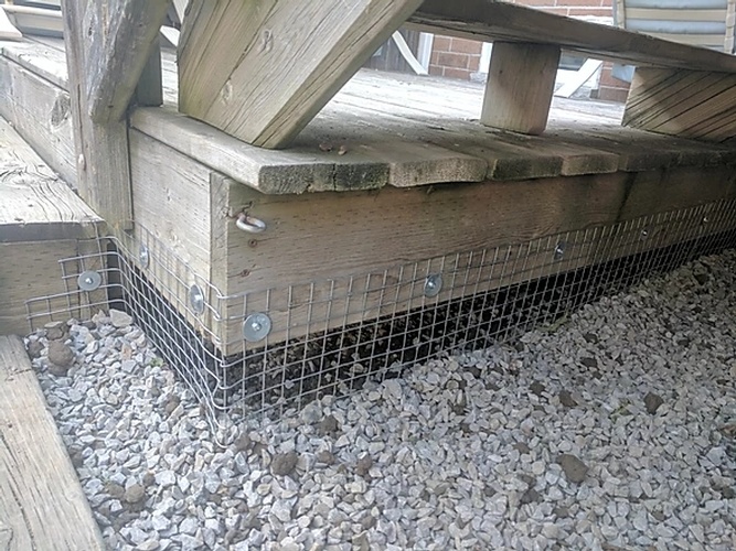 Wired Mesh Surrounding the Deck - Possum Removal Brampton by Wildlife Damage Protection Services
