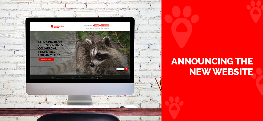 Announcing The New Website of  Wildlife Removal Services.png