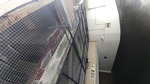 Complete Commercial Mesh Protection  from Wildlife Attack - Animal Removal Brampton by Wildlife Damage Protection Services