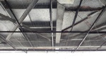 Ceiling Protection Netting - Wildlife Control Services Hamilton by Wildlife Damage Protection Services