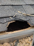 Damaged Roof - Animal Control Brampton by Wildlife Removal Services