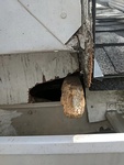 Damages Caused by Squirrel - Squirrel Removal Services Markham by Wildlife Damage Protection Services