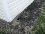 Wildlife Residential Damage by Wildlife Damage Protection Services - Skunk Removal Services Brampton