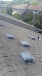 Rooftop Protection by Wildlife Removal Services - Raccoon Control Brampton