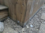 Loose Soil Entry Points - Raccoon Control Brampton by Wildlife Damage Protection Services