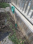 Loose Soil Sunk Prevention Set Up by Wildlife Damage Protection Services - Skunk Removal Services Toronto