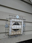 Mesh Protection by Wildlife Damage Protection Services - Bird Removal Services Toronto