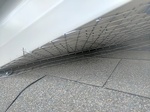 Bird Prevention by Mesh Installation - Bird Removal Services Markham by Wildlife Damage Protection Services