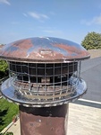 Enclosing a Dome Shaped Structure by Mesh - Bird Removal Services Brampton by Wildlife Damage Protection Services