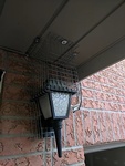 Mesh Installation to Prevent Bird Nesting - Bird Removal Services Mississauga by Wildlife Damage Protection Services