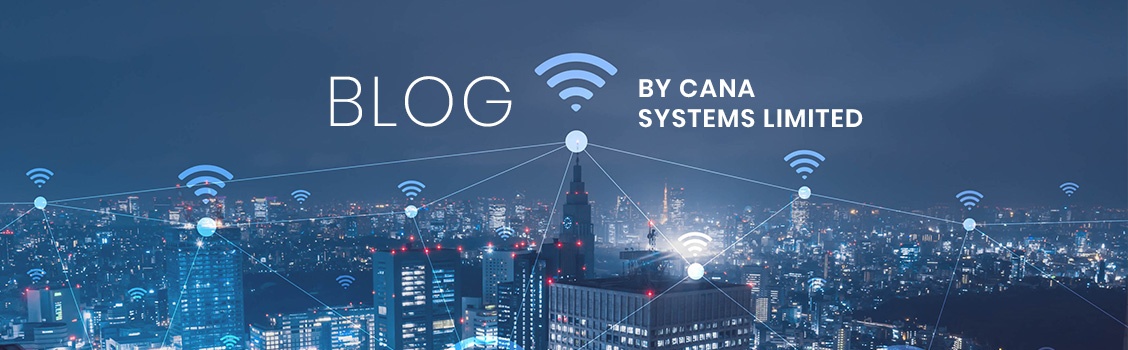 Blog by Cana Systems Limited