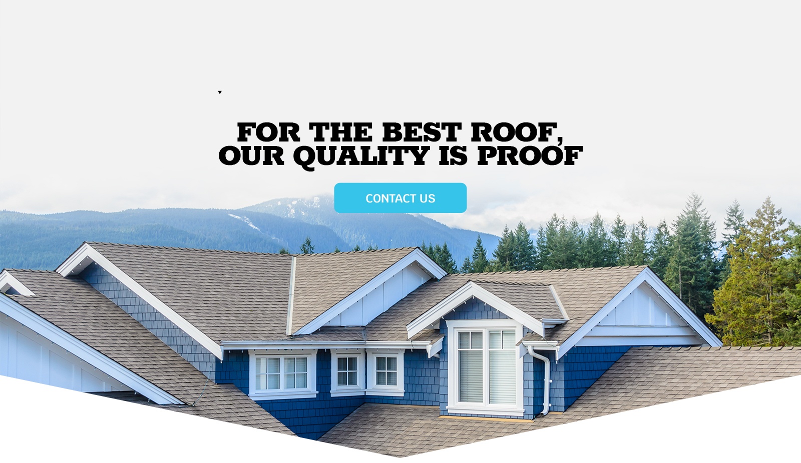 Carson Roofing banner