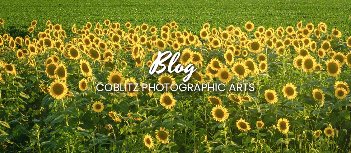 Blog by Coblitz Photographic Arts