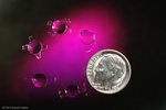 Coin - Product Photography St. Louis by Coblitz Photographic Arts