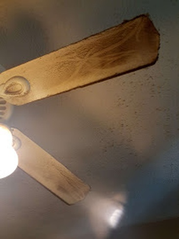 Fan Dust Removal Vine Grove by 3 Of J's Residential and Commercial Cleaning Services