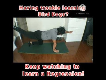 Bird Dogs Regression - Legs Only
