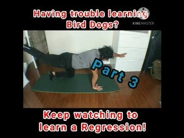 Bird Dogs Regression - Arm Extended Leg Raises