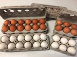 Eggs Dozens