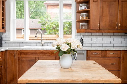 Flower Pot on Kitchen Countertop - Real Estate Photography Services Mississauga by Matt Tibbo