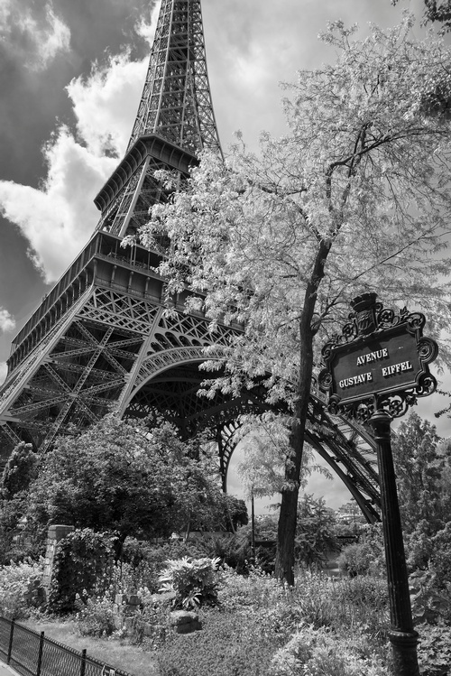 Eiffel Tower - Travel Photography Services by Matt Tibbo