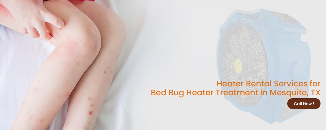 Bed Bug Heater Treatment Mesquite, TX