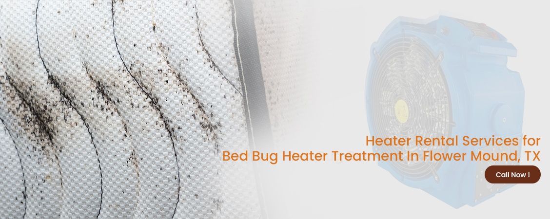 Bed Bug Heater Treatment Flower Mound, TX