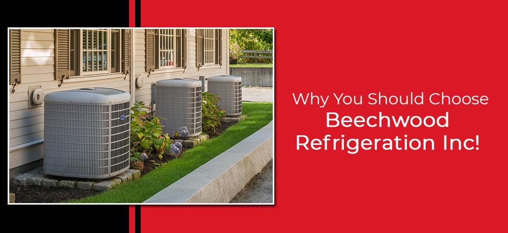 Beechwood Refrigeration - Month 11 - Blog Banner.jpg