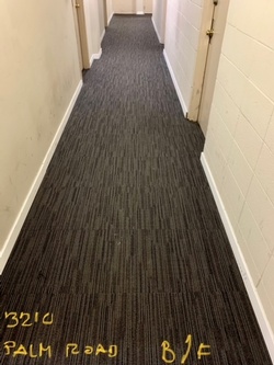 Residential Carpet Cleaning at Palm Road Apartments by Professional Cleaning Experts at JAG Cleaning Services Ltd.
