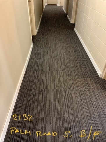 Residential Hallway Carpet Cleaning Services at Palm Road Apartments by Top Cleaning Experts at JAG Cleaning Services Ltd.