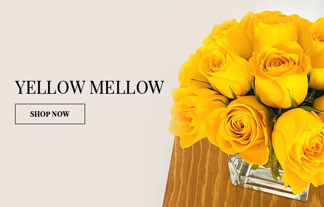 Yellow Mellow Flower Arrangement Design - Wedding Florist in Brossard at YnV Lifestyle Inc.