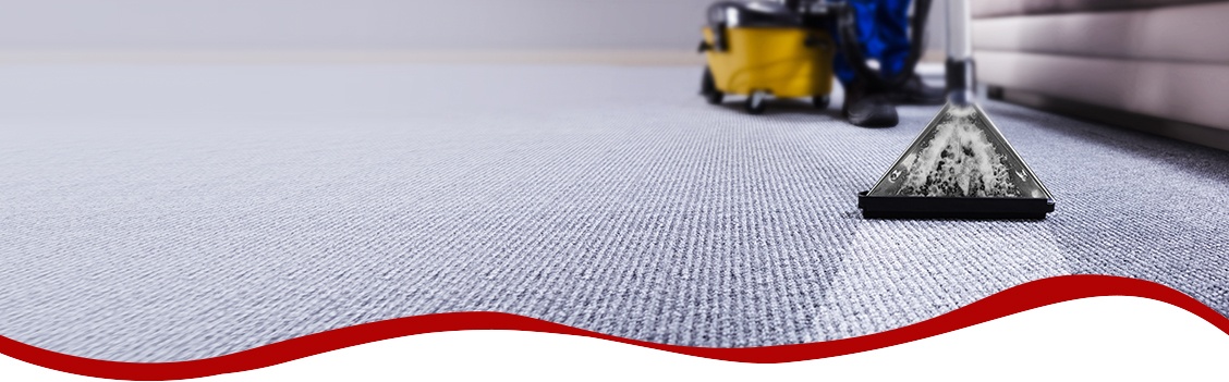 Commercial Carpet Cleaners 