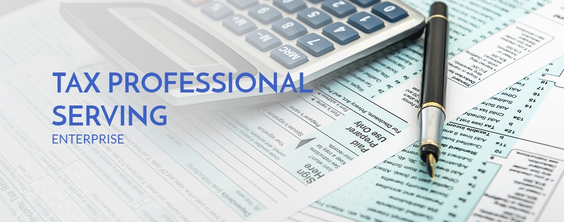 Tax Professional Serving Enterprise