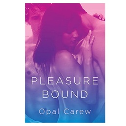 Pleasure Bound Novel at Online Sex Store, The Love Boutique