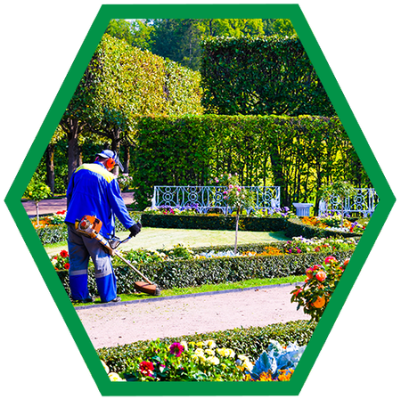 Commercial/Retail Landscaping Services