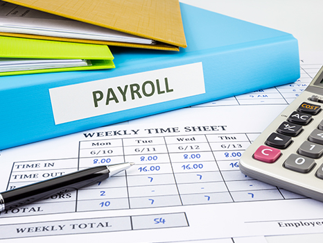 Navigating Payroll Services: A Path to Small Business Success