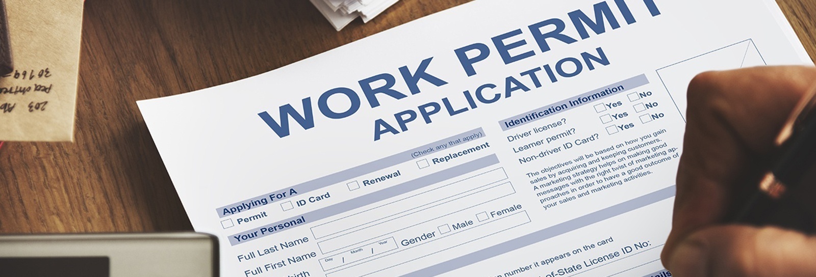 Open Work Permit (OWP)