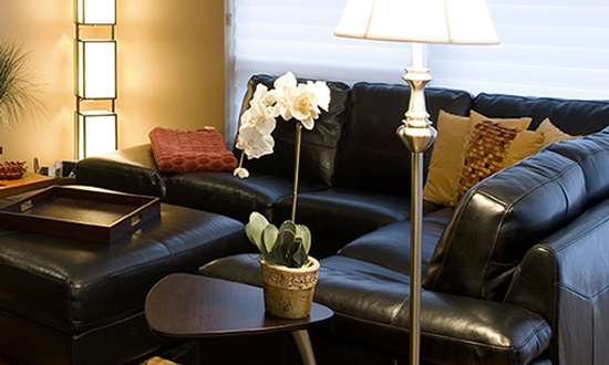 Professional Upholstery Cleaning Services removes dirt and odors to renew the appearance of your furniture