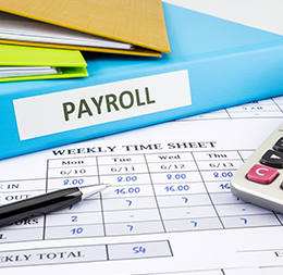Payroll Services Rochester