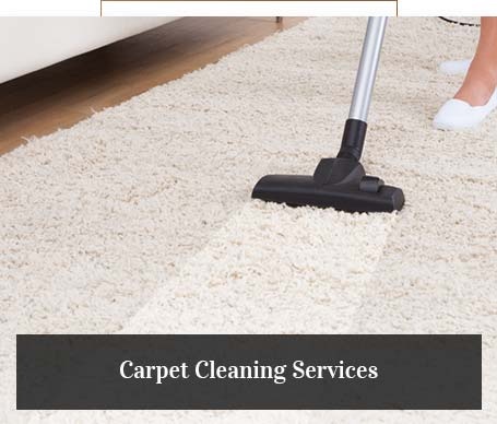 Carpet Cleaning Services Milwaukee Wisconsin