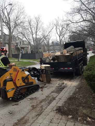 Tree Cutting, Wood Delivery Services Toronto by ANY HEIGHT TREE SERVICES