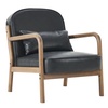 Frani Accent Chair 