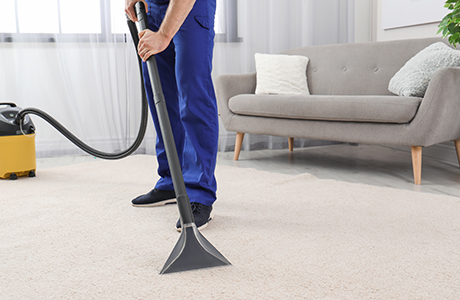 Carpet Cleaning - new westminster