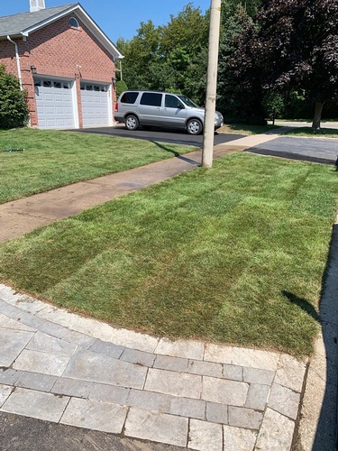 Sod Installation Services that meet your needs and budget from Scott's Junk and Beyond
